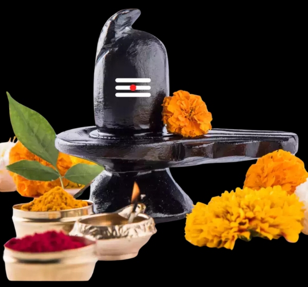 Untitled-design-2024-09-19T154353.956